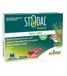 STODAL PLANTS FRUTTI RO 36PAST