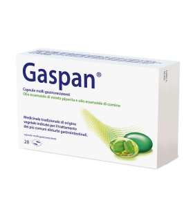 GASPAN*28 cps molli gastrores 90 mg + 50 mg